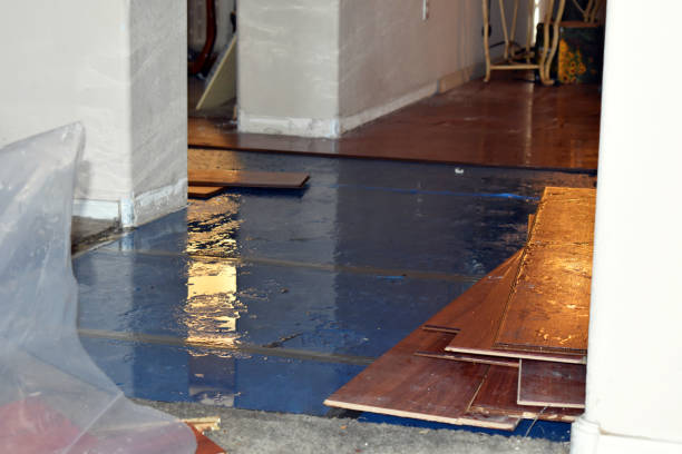 Professional Basement Flooding technician working in Luck, WI